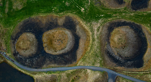 click to remove grass